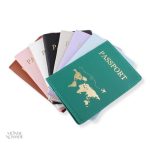 Étui de passeport carte du monde